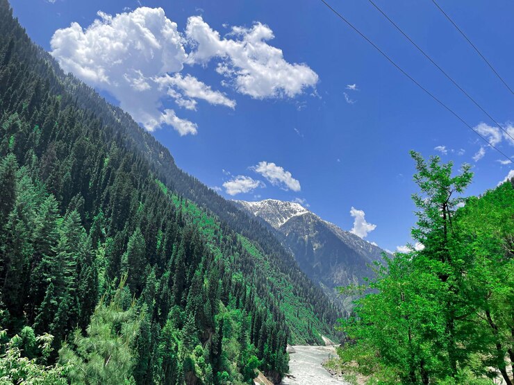 KASHMIR