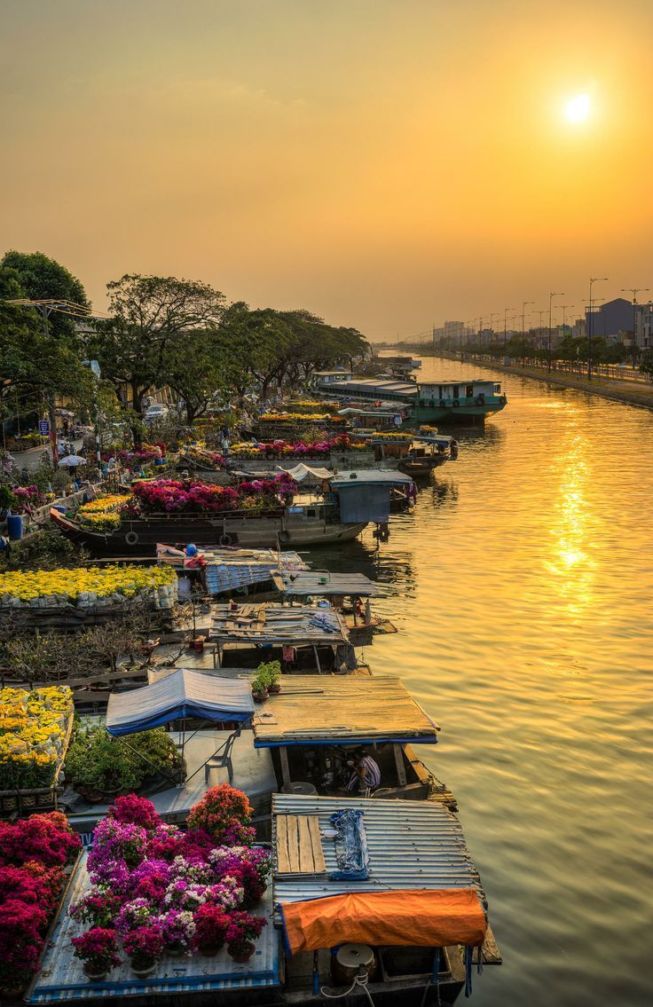 vietnam new year celebration 